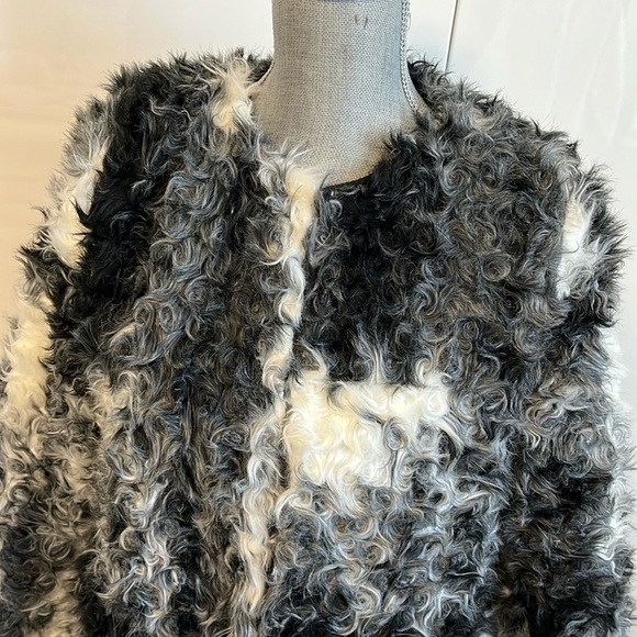 HOST PICK 🖤 ZARA Curly Lamb Faux Fur Coat Lined,  Size M - Picture 2 of 13